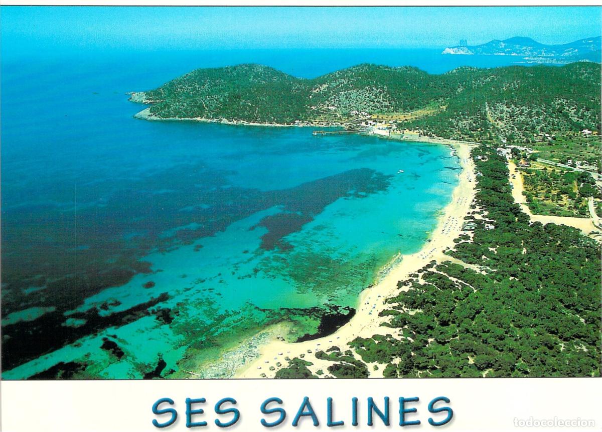 Postales: Postal de Ses Salines, Eivissa - Vista A&eacute;rea de la Playa