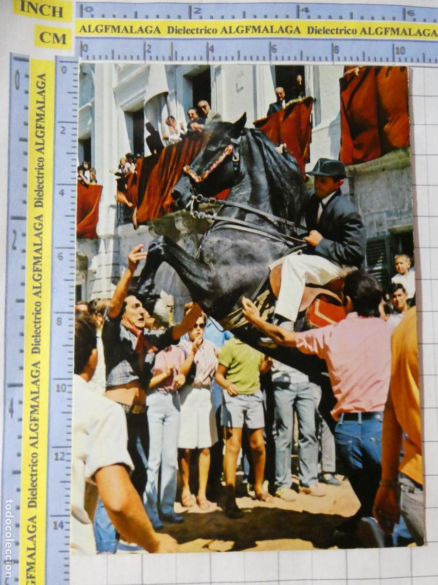 Postales: POSTAL DE MENORCA. A&Ntilde;O 1969. MAH&Oacute;N FIESTAS VIRGEN DE GRACIA SA COLCADA CABALLO 6005 DOLFO. 2221
