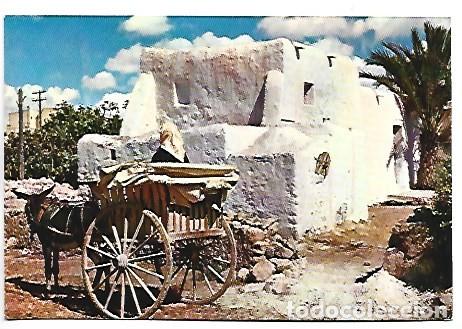Postales: CONSTRUCCION Y VEHICULO TIPICOS / TYPICAL HOUSE AND CART.- IBIZA