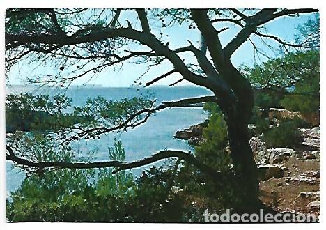 Postales: CALA GRASIO / GRASIO SMALL BAY.- SAN ANTONIO ABAD - IBIZA