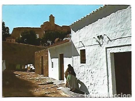 Postales: CALLE TIPICA.- IBIZA