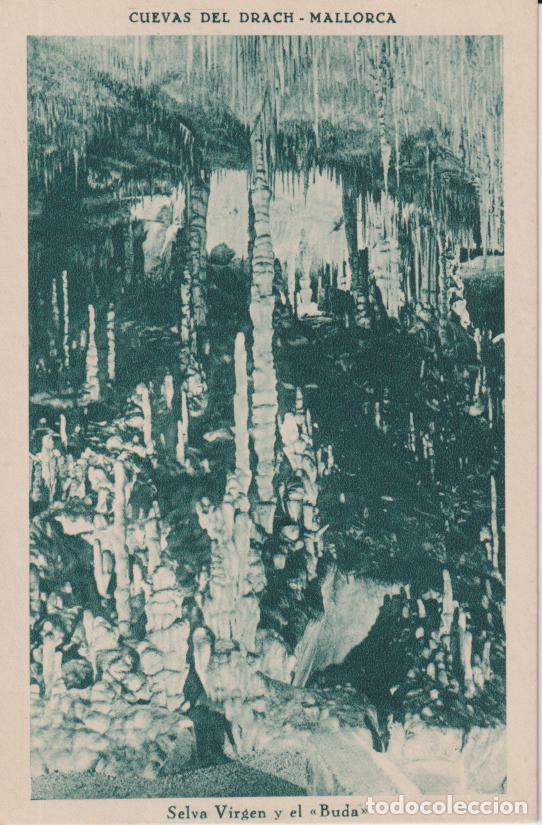 Postales: MALLORCA, CUEVAS DEL DRACH, SELVA VIRGEN Y EL BUDA &ndash; H.MUMBR&Uacute; &ndash; S/C