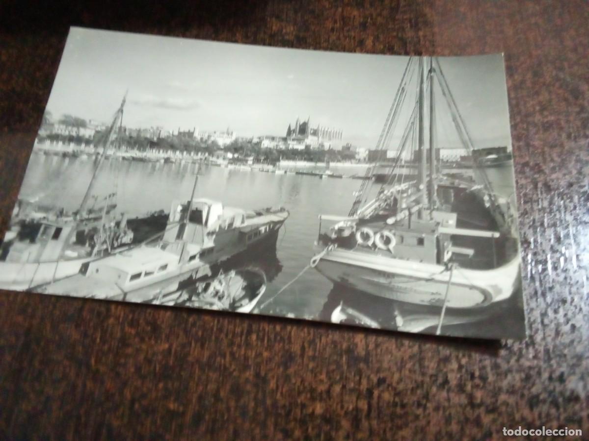 Postales: Mallorca.Palma.Vista parcial del puerto.