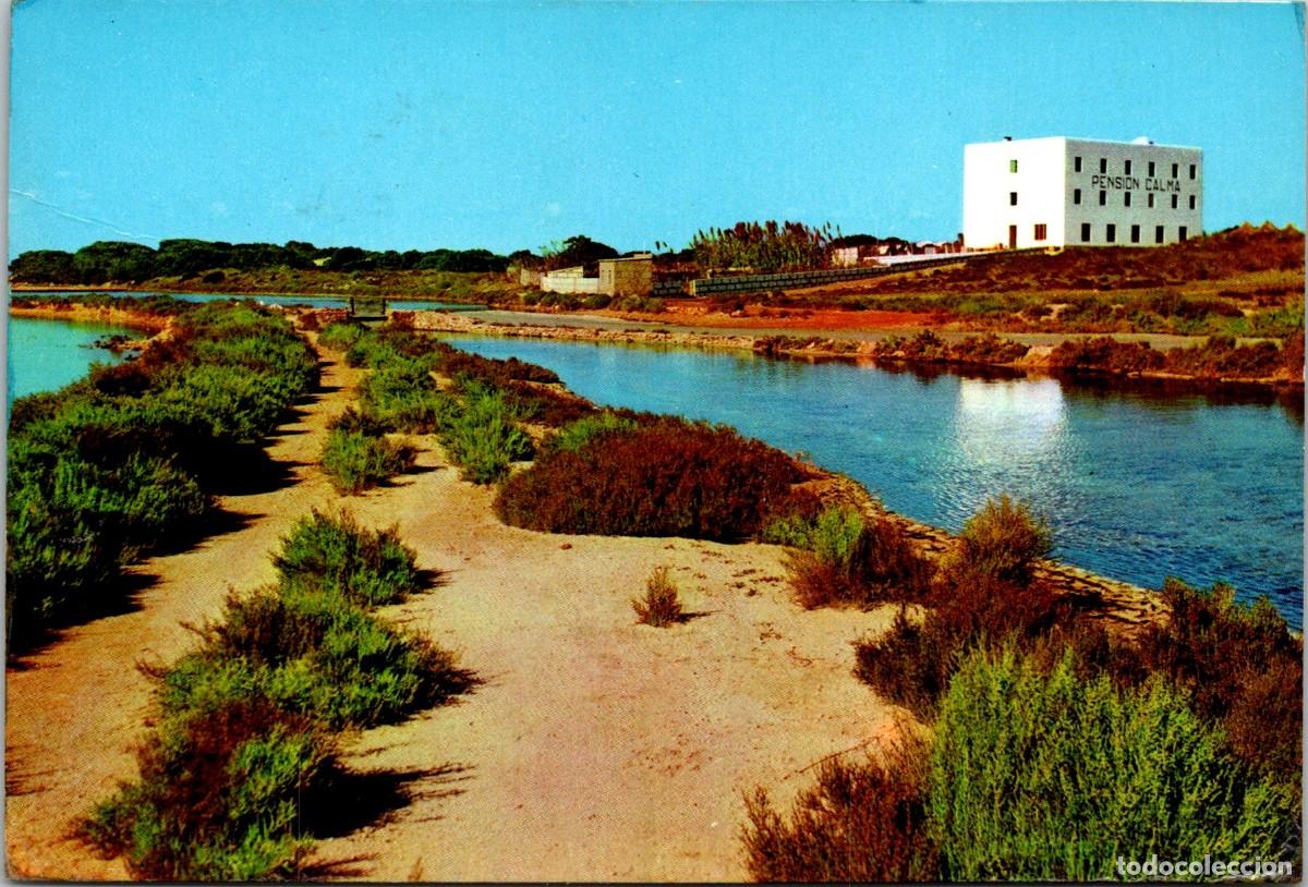 Postales: Formentera - Pensi&oacute;n Calma - Subir&aacute; 654 - 151x102mm