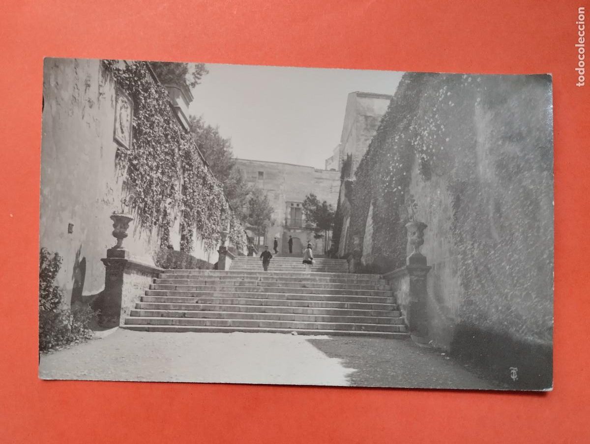 Postales: POSTAL FOTOGRAFICA SERIE TRUYOL MALLORCA