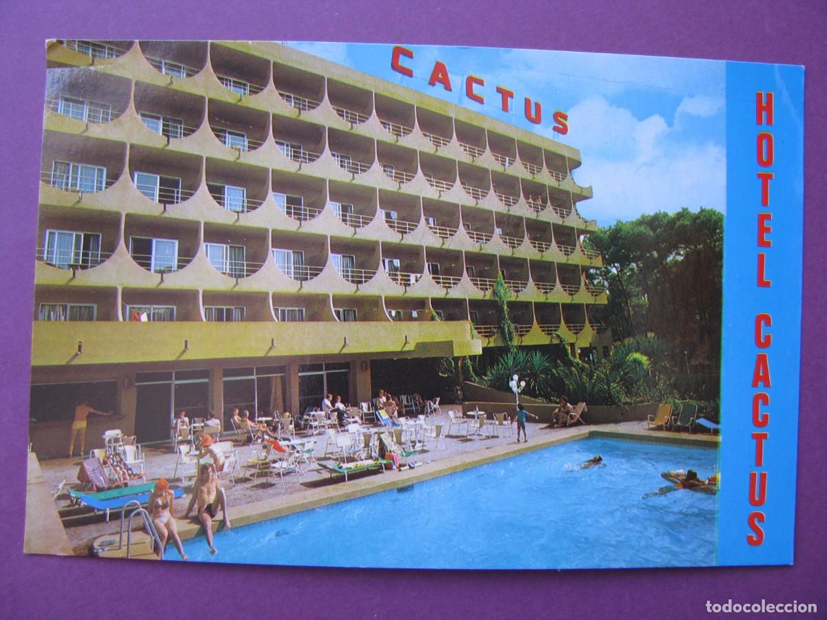 Postales: POSTAL DE HOTEL CACTUS. MALLORCA. ED. BOHIGAS.
