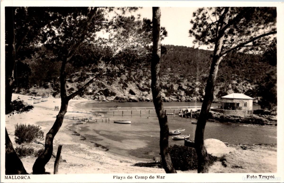 Postales: Mallorca - Playa de Camp de Mar - Foto Truyol - 138x88mm