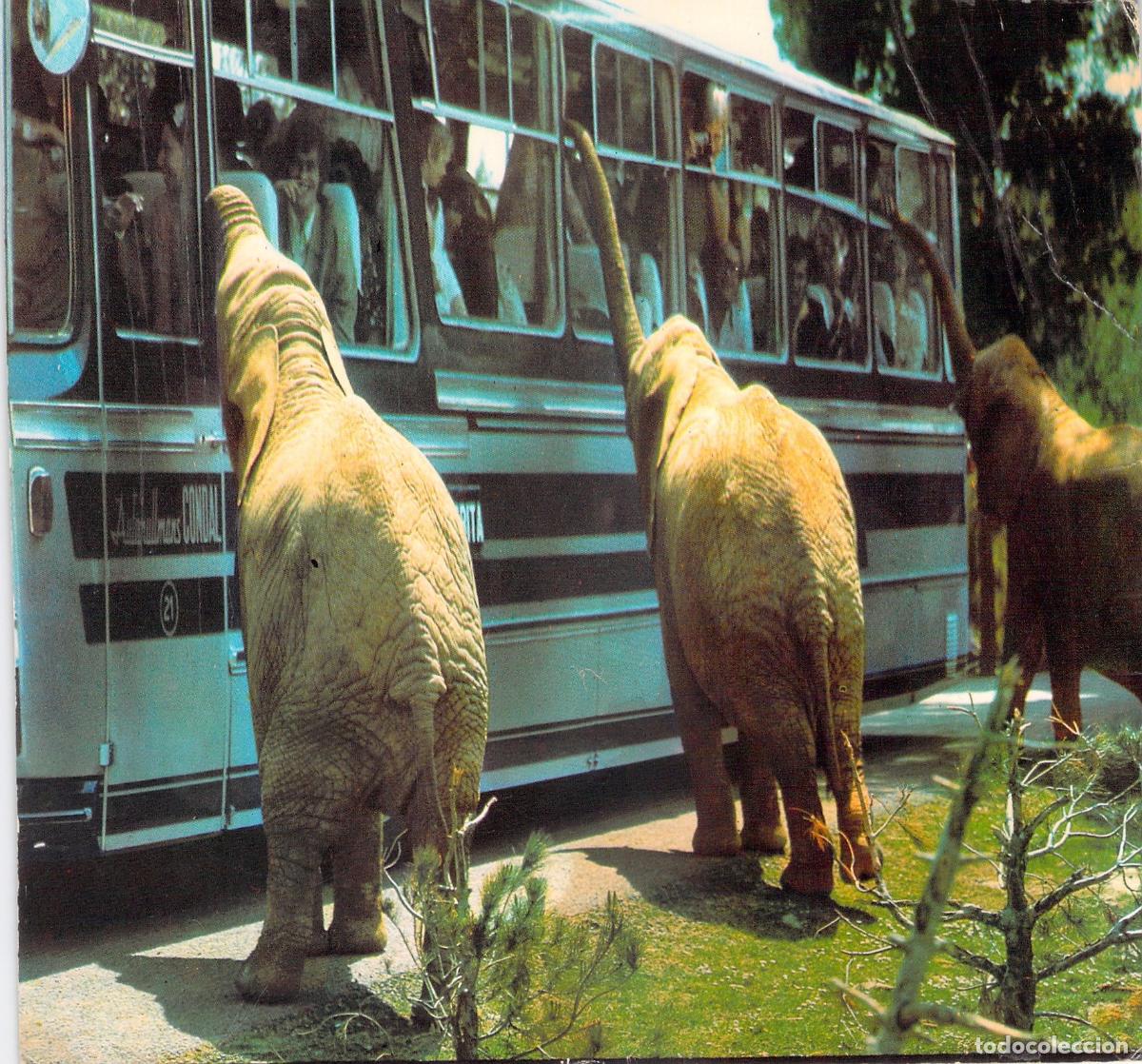 Postales: Postal de Elefantes y Autob&uacute;s Tur&iacute;stico en Safari Ruhe Mallorca