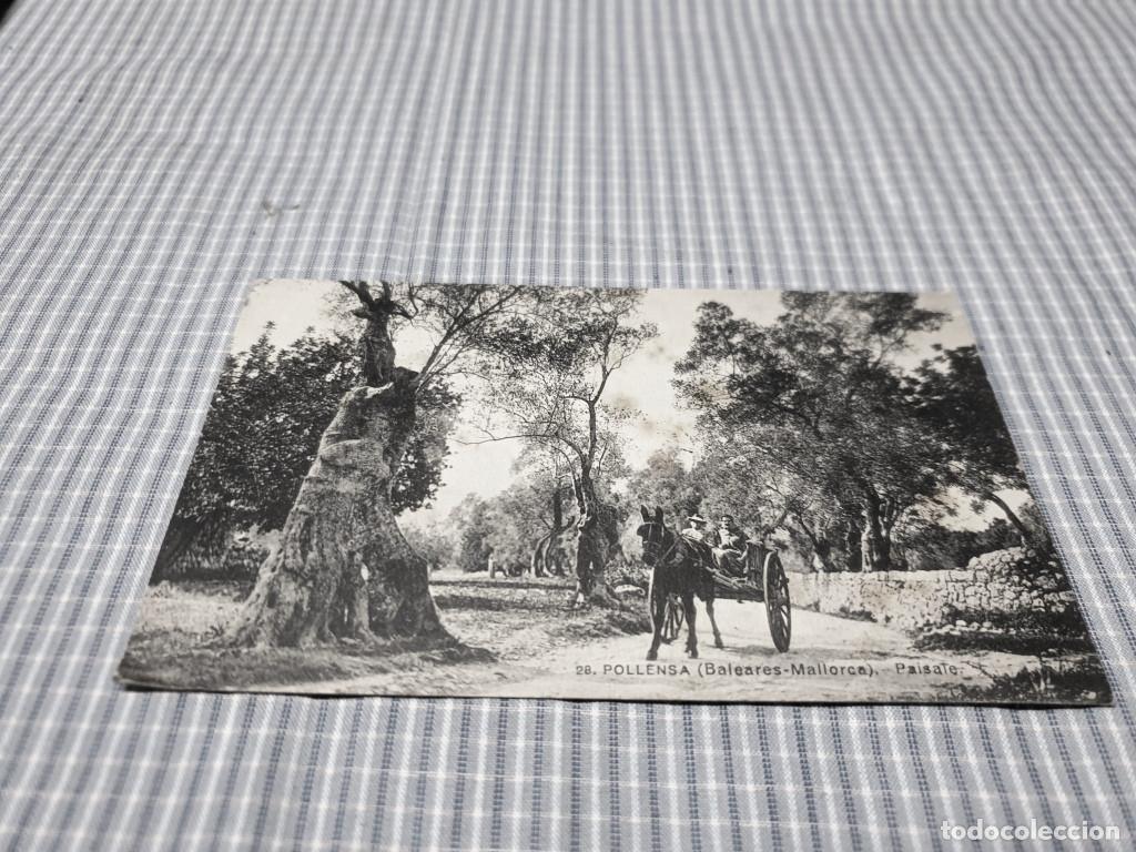 Postkarten: Postal antigua Mallorca. Pollensa. Paisaje. Lacoste 28. Circulada.