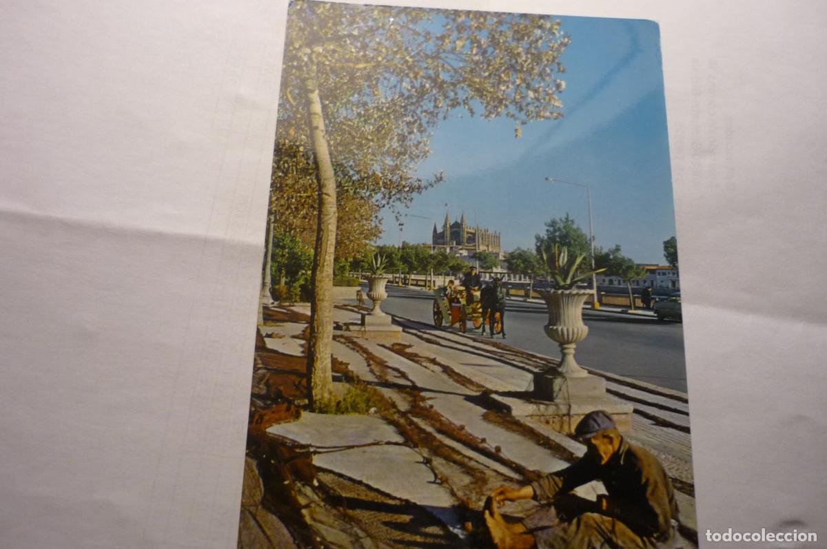 Postales: postal mallorca catedral p&ordm; maritimo - Foto 1
