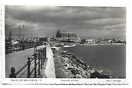 Postales: PASEO DE LA RIBA.- PALMA / MALLORCA - Foto 1