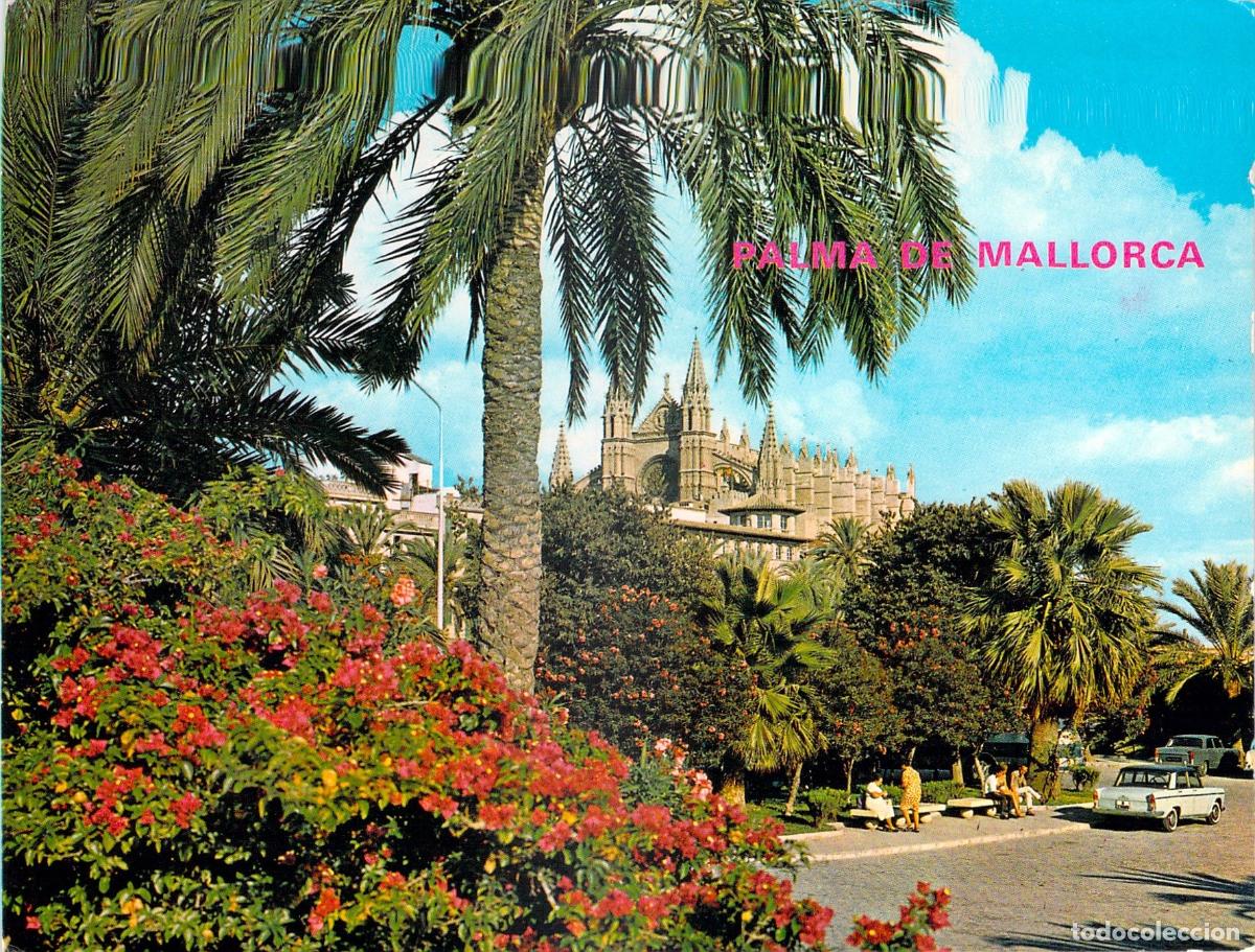 Postales: Postal de Palma de Mallorca - Vista de La Catedral con Palmeras