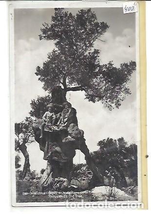 Postales: ANTIGUA POSTAL 288 MALLORCA OLIVO MILENARIO