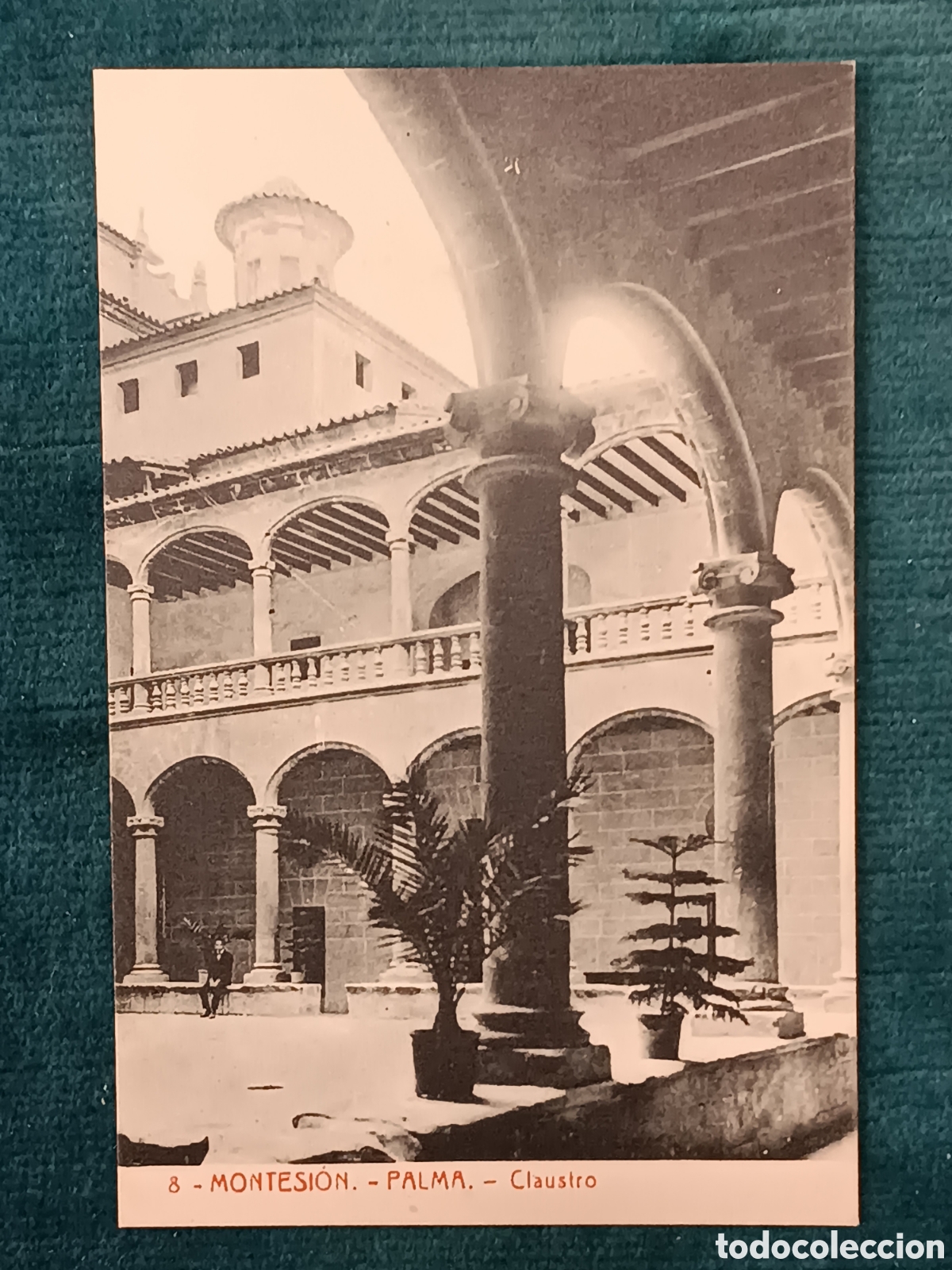 Postales: 8 MONTESI&Oacute;N. PALMA. Claustro