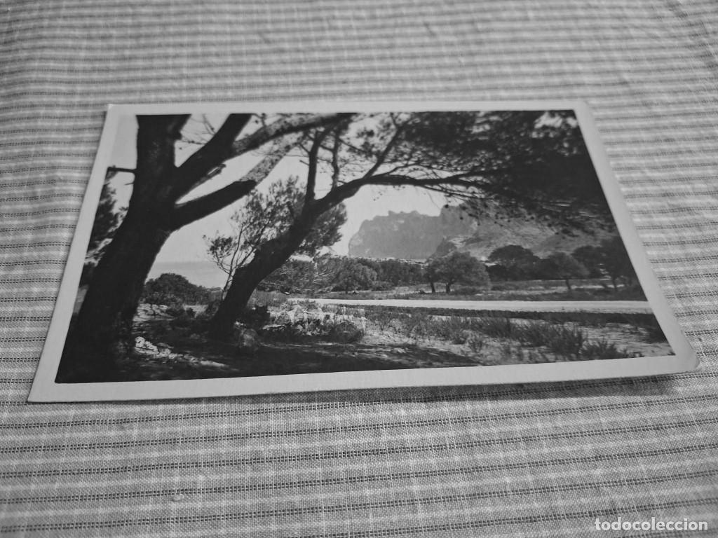 Postales: Postal antigua Mallorca. Pollensa. Cala San Vicente. Bestard