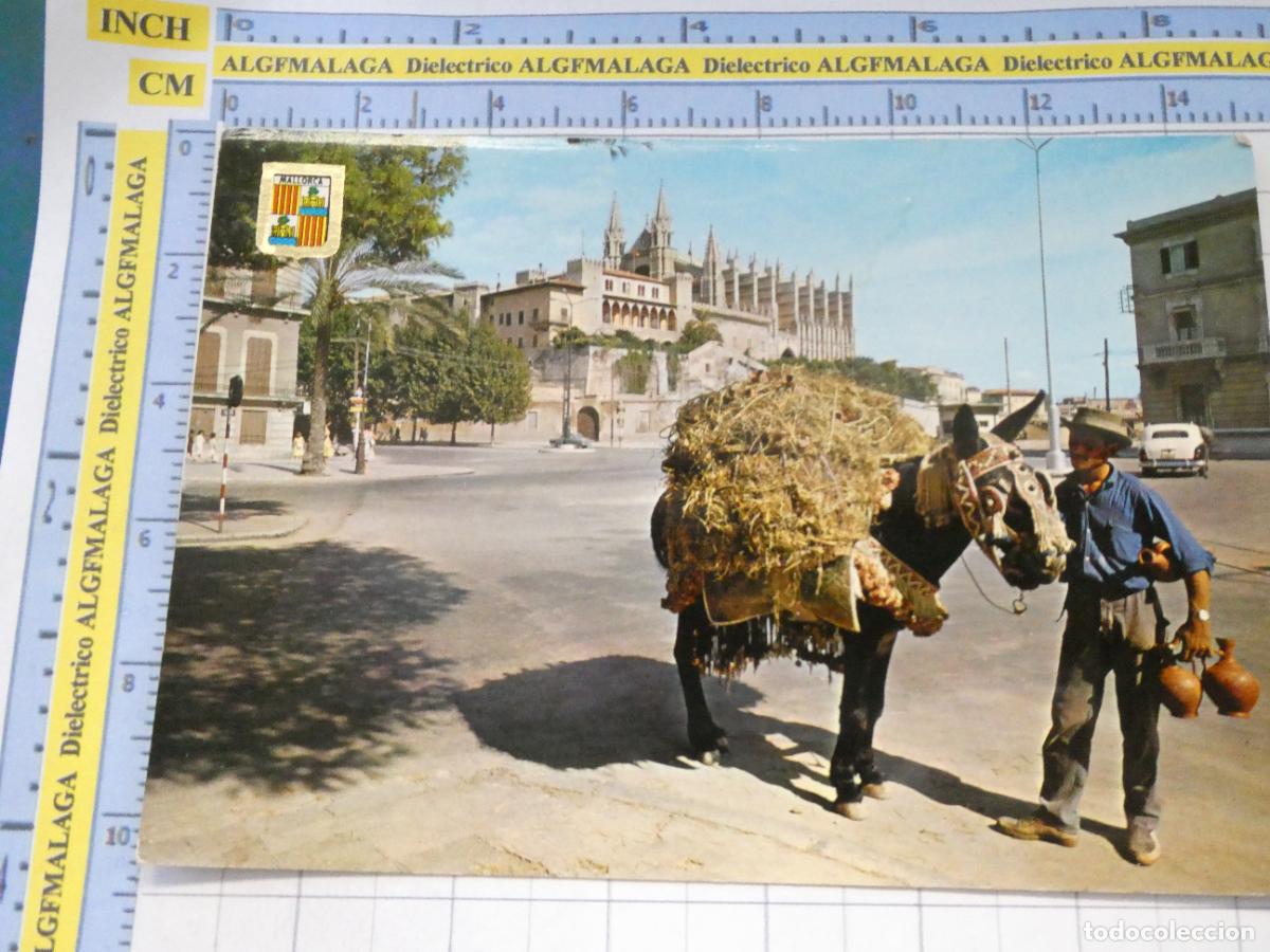 Postales: POSTAL DE MALLORCA. A&Ntilde;O 1963. PALMA VENDEDOR T&Iacute;PICO BOTIJERO 1516 ESCUDO ORO. 749