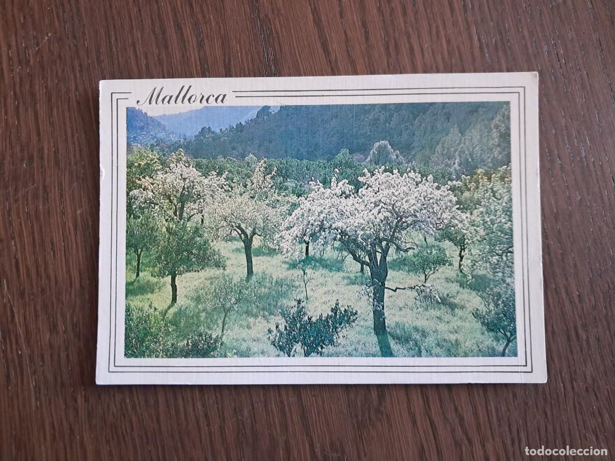 Postales: postal de Espa&ntilde;a, almendros en flor, im&aacute;genes de Baleares.