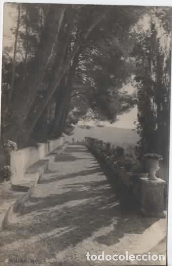 Postales: RAIXA MALLORCA SIN ESCRIBIR - Foto 1