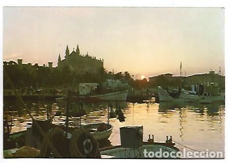Postales: CATEDRAL.- PALMA / MALLORCA - Foto 1