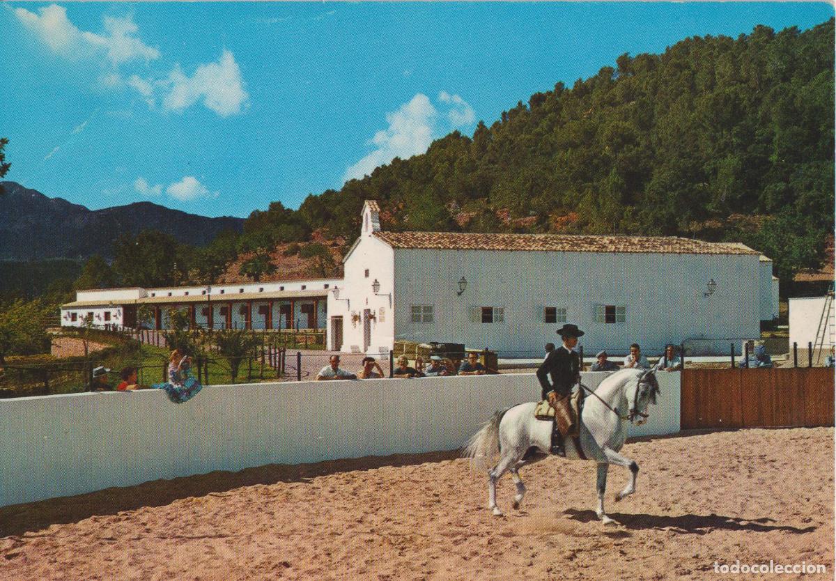 Postales: MALLORCA (BALEARES) FIESTA ANDALUZA CORTIJO SES ROTES - NEVCOLOR 2689 - S/C