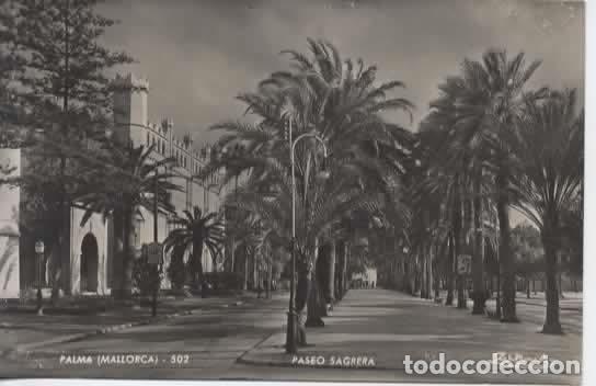 Cartes Postales: BALEARES MALLORCA ESCRITA PALMA PASEO SAGRERA