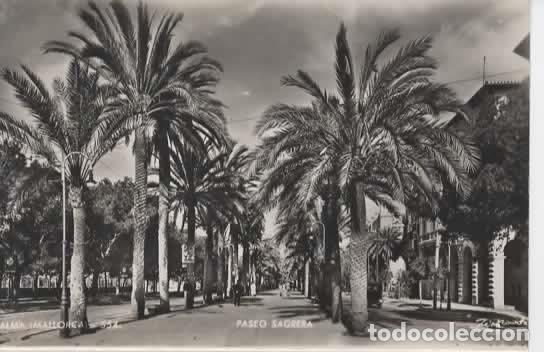 Postales: BALEARES MALLORCA SIN ESCRIBIR PALMA PASEO SAGRERA