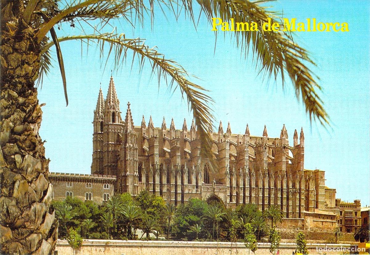 Postales: Postal de la Catedral de Palma de Mallorca con palmera