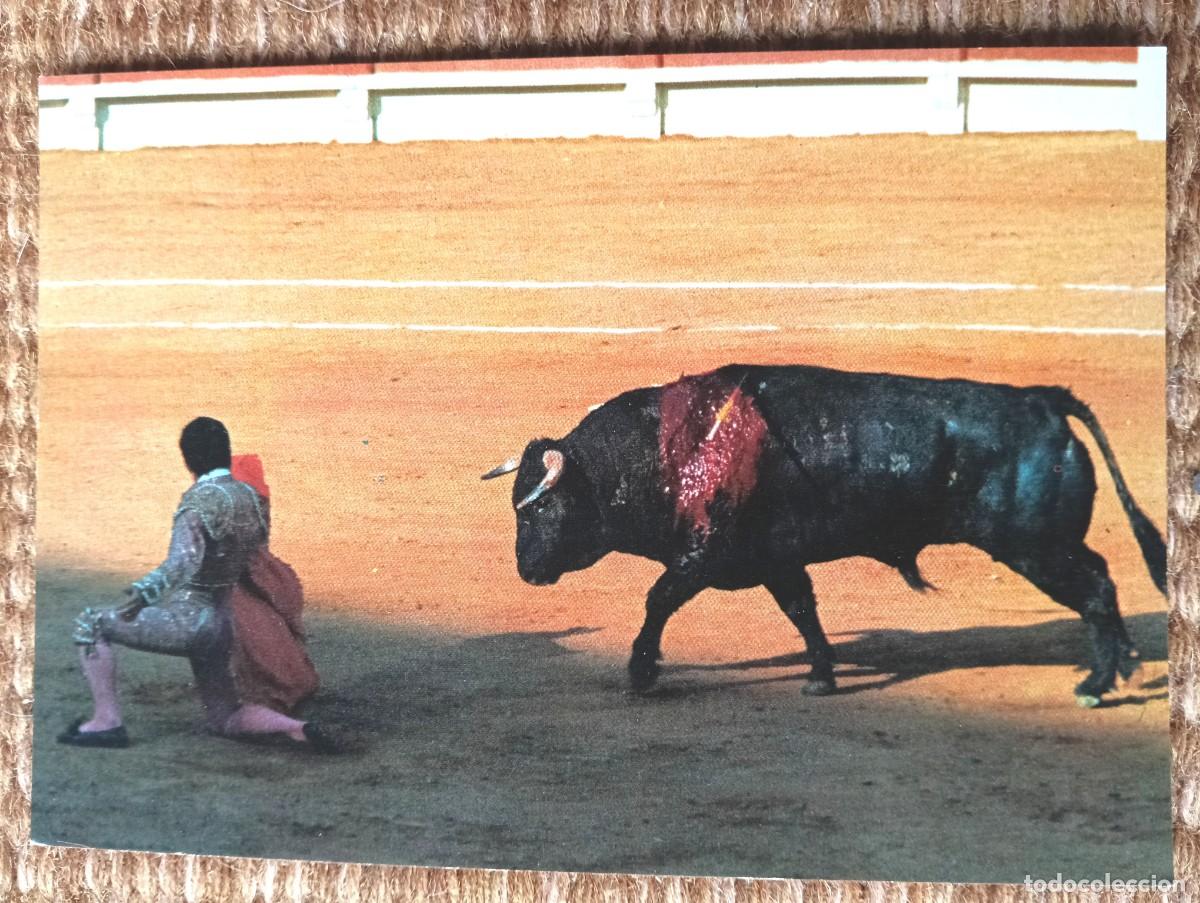 Postales: TOROS EN PALMA DE MALLORCA - ED. ICARIA