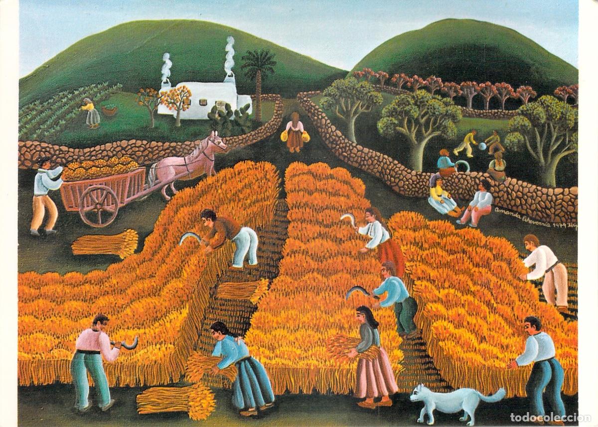 Postales: Postal de Arte Naif La Siega de Amanda Echeverria