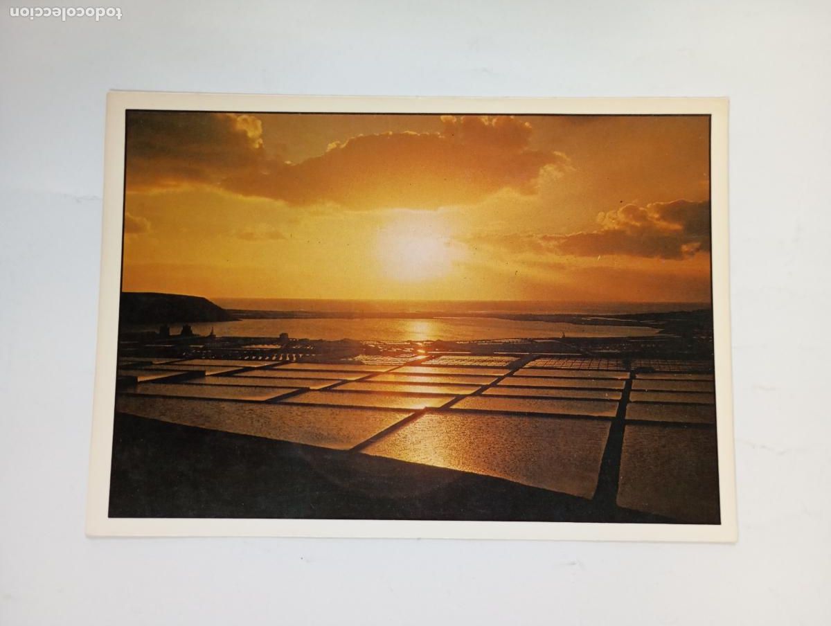 Postales: POSTAL DE IBIZA. PAISAJE PARADIS&Iacute;ACO. TDKP29R