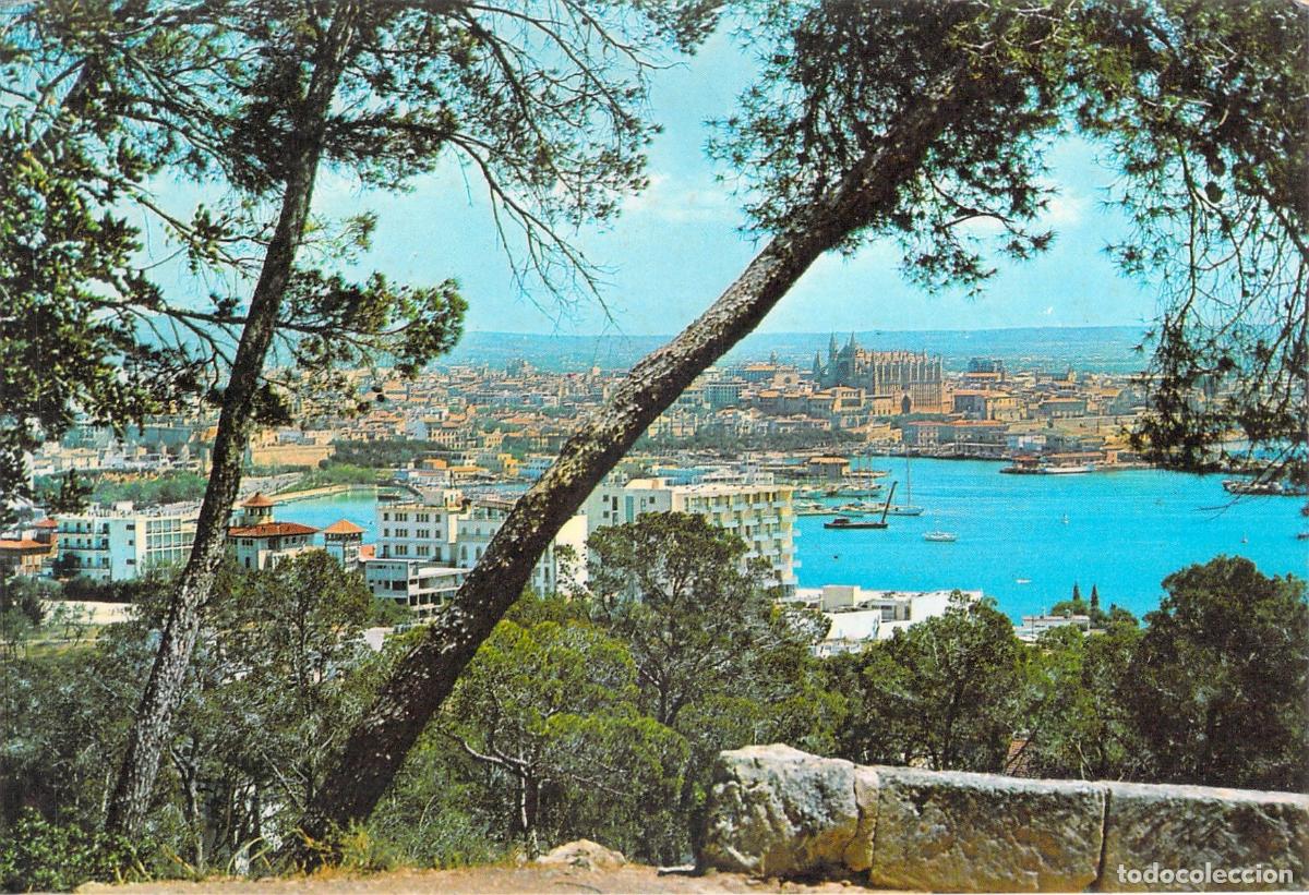 Postales: Postal de Vista Parcial de Palma de Mallorca y Catedral