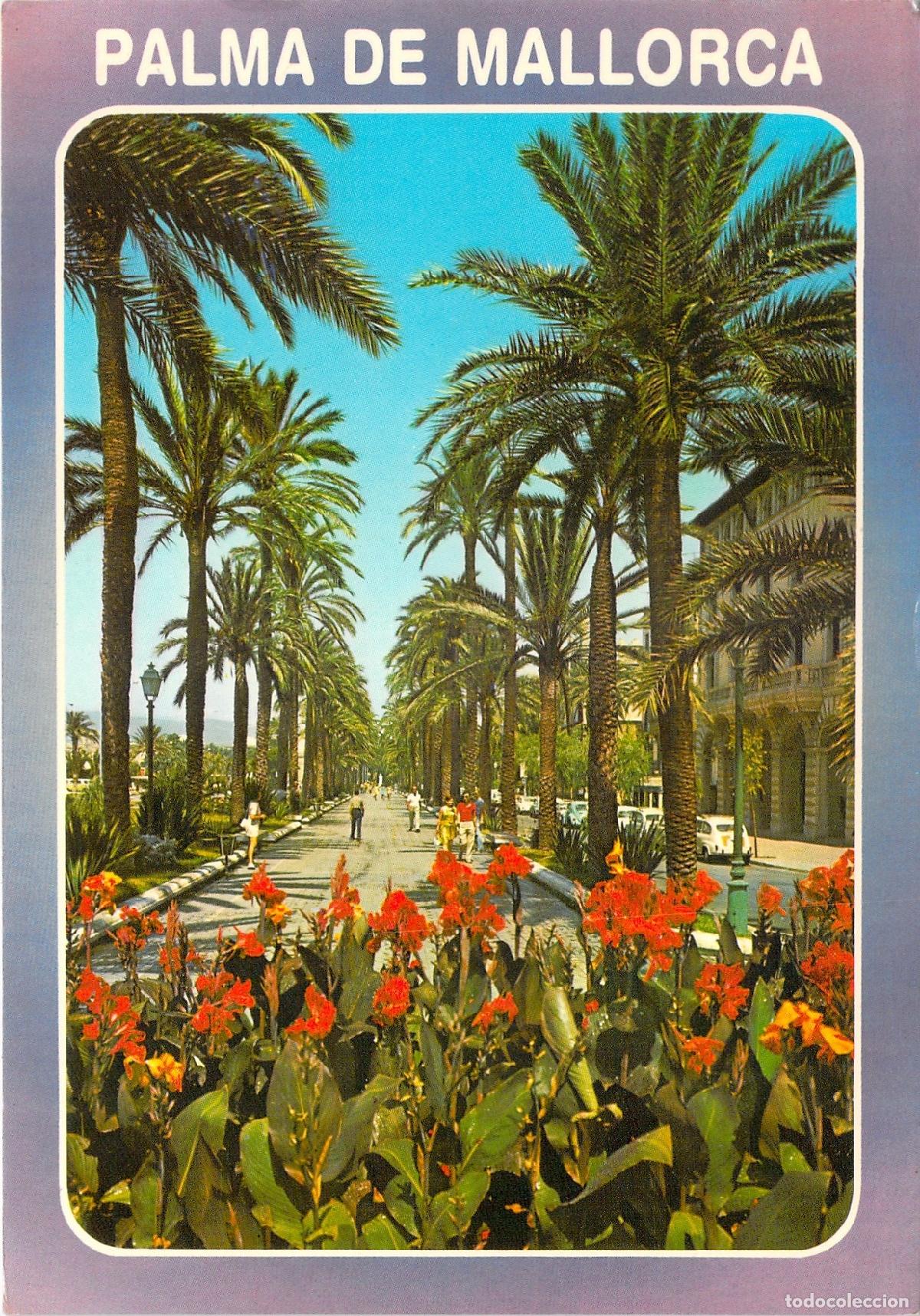 Postales: Postal de Palma de Mallorca con Paseo Sagrera y Palmeras