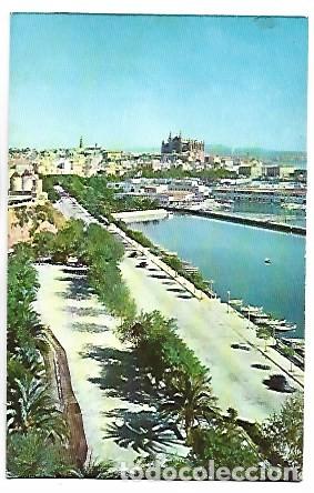 Postales: PASEO MARITIMO Y LA CATEDRAL.- PALMA / MALLORCA