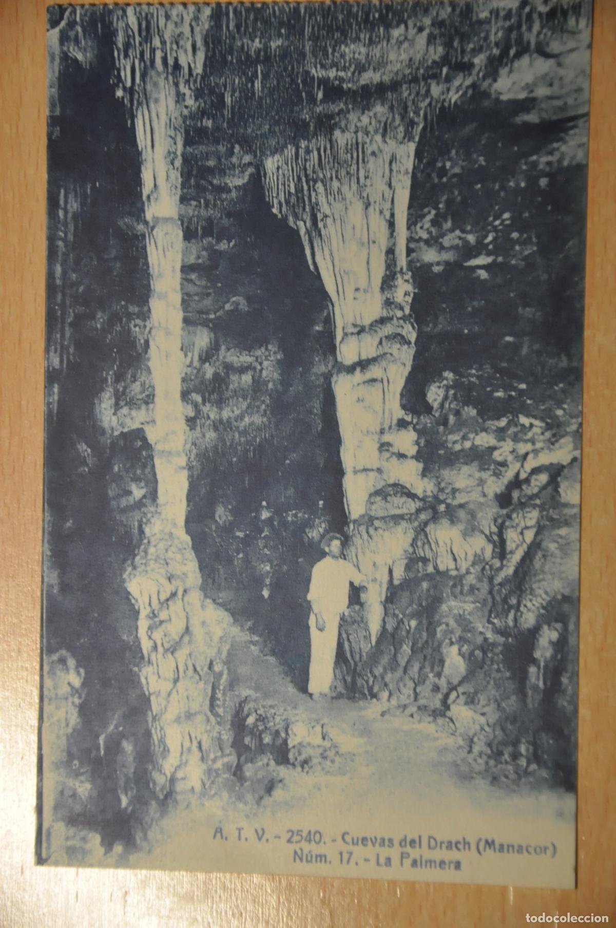Postales: postal cuevas del drach (manacor) n&uacute;m. 17, la palmera, atv 2540