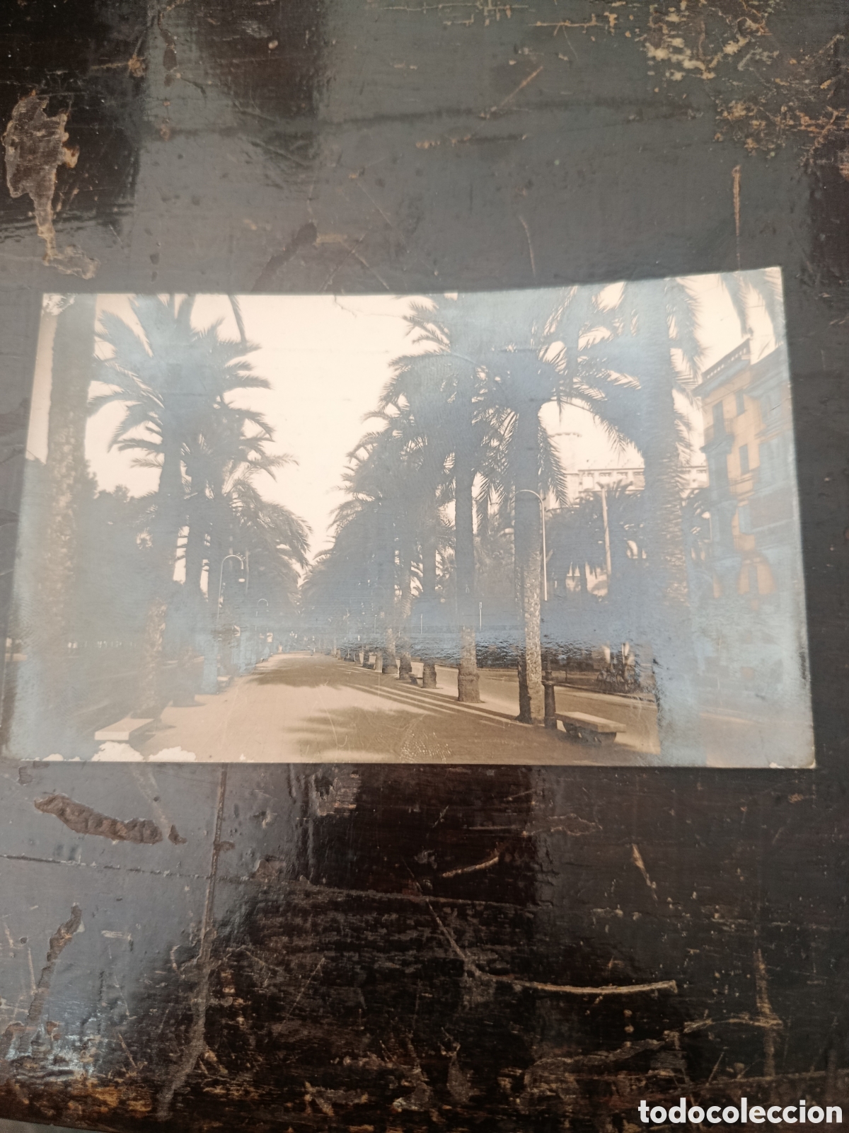 Postales: Postal mallorca paseo de sagrera - Foto 1
