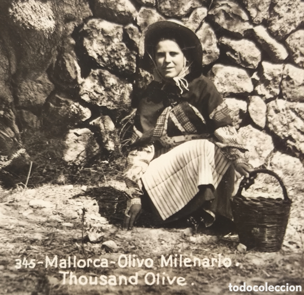 Postales: MALLORCA ETNOGRAFIA PAG&Egrave;SA OLIVO MILENARIO POSTAL FOTOGR&Aacute;FICA BALEARS C. 1945