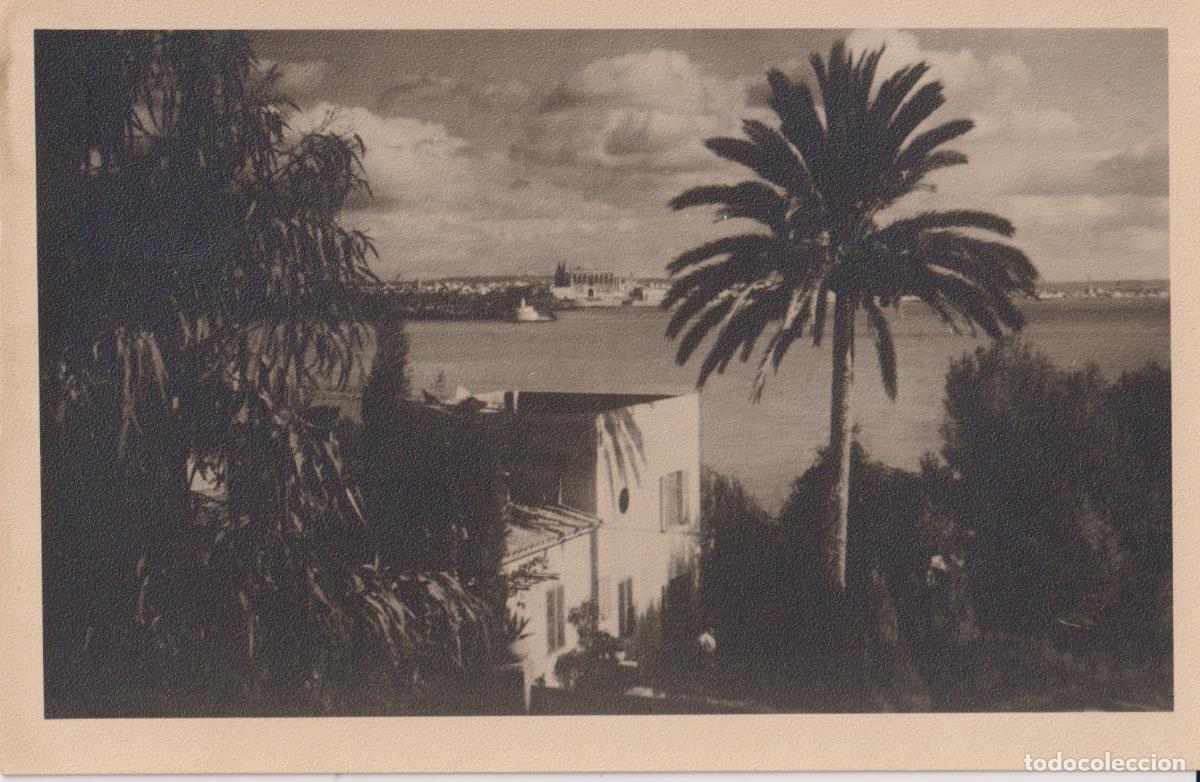 Postales: PALMA DE MALLORCA, EL PUERTO CON LA CATEDRAL - EDICION FOTO BALEAR - S/C