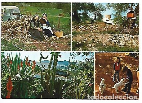 Postales: SUS GENTES, ANIMALES Y PLANTAS.- IBIZA