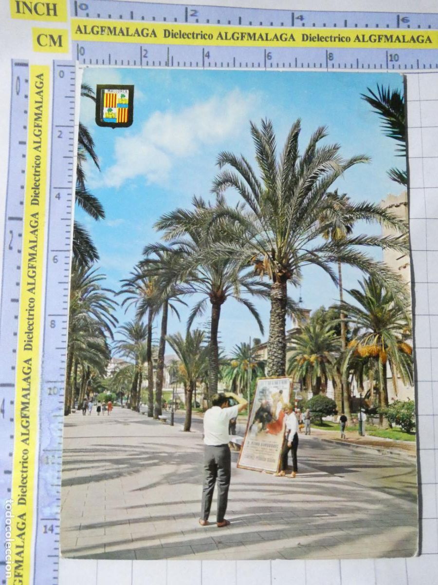Postales: POSTAL DE MALLORCA. A&Ntilde;O 1963. PALMA PASEO SAGRERA FOT&Oacute;GRAFO MUJER CARTEL TOROS. 1512 ESCUDO OR. 2317