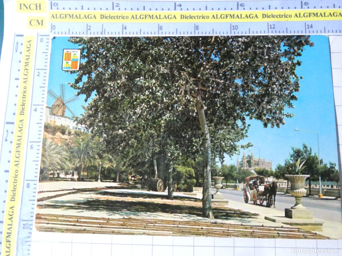 Postales: POSTAL DE MALLORCA. A&Ntilde;O 1962. PALMA PASEO MAR&Iacute;TIMO 1504 CASANOVAS. 2324