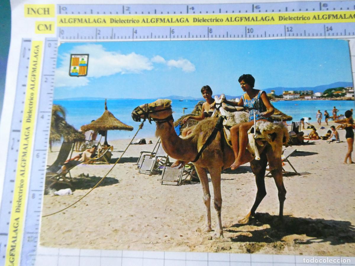 Postales: POSTAL DE MALLORCA. A&Ntilde;O 1963 PALMA PLAYA CAN PASTILLA MUJERES CAMELLO 1523 SUBIRATS. 2344