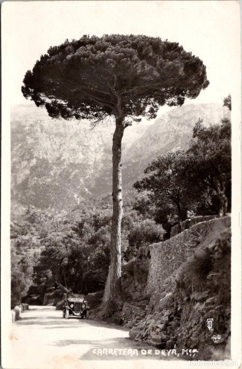 Postales: Mallorca - Carretera de Dey&agrave; - Postal Fotogr&aacute;fica - Truyol - Reverso sin imprimir - 139x90mm