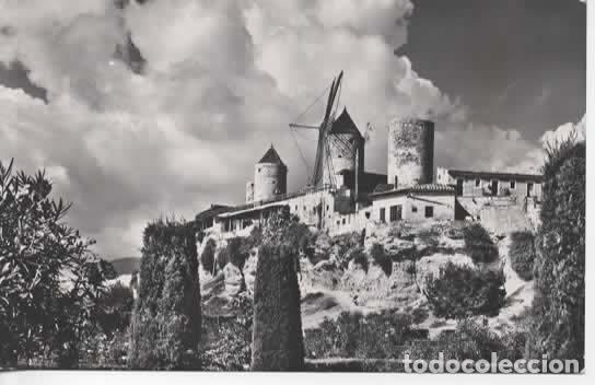 Postales: MALLORCA ESCRITA PALMA - Foto 1