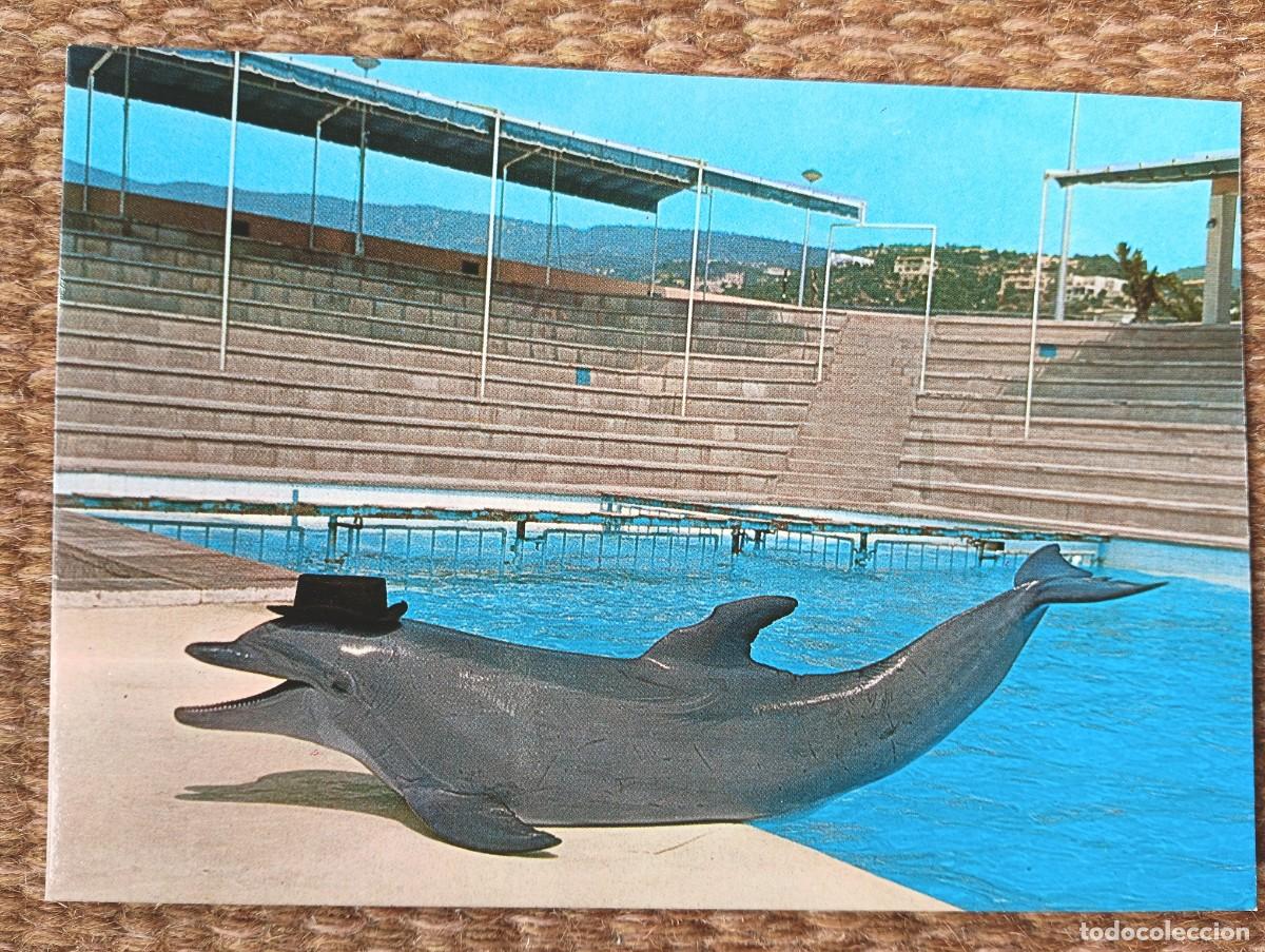 Postales: MARINELAND - PALMA NOVA - MALLORCA - DELFIN - ED. FLOR DE ALMENDRO