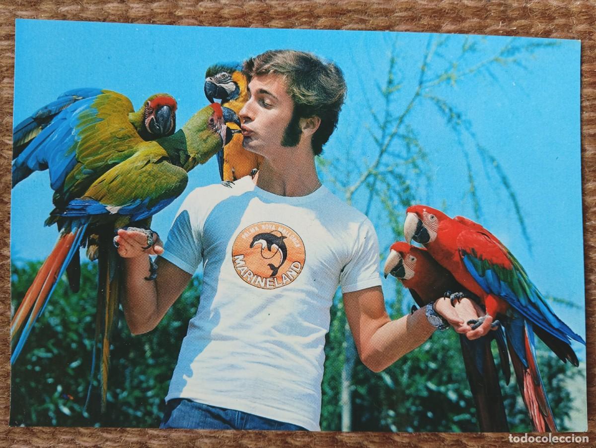 Postales: MARINELAND - COSTA D'EN BLANES - MALLORCA - LORO