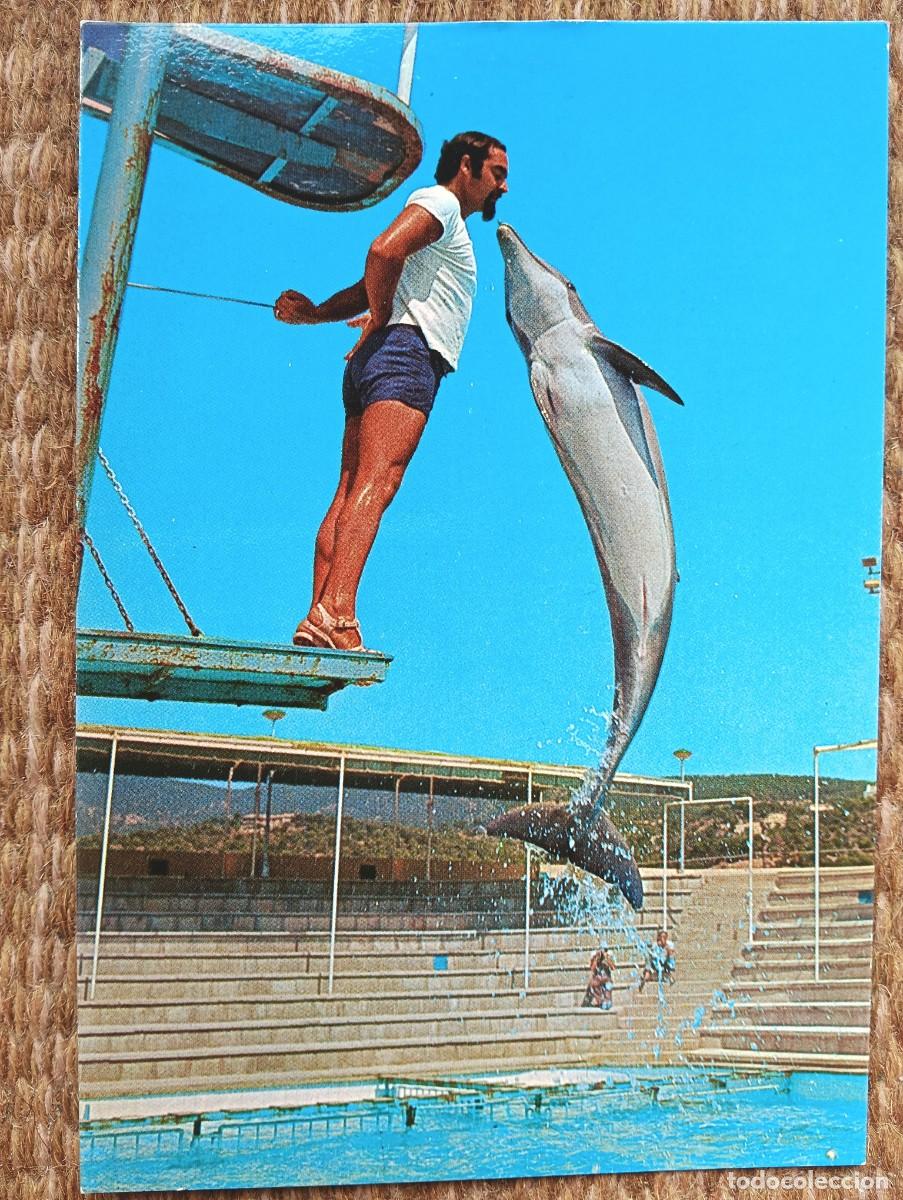 Postales: MARINELAND - PALMA NOVA - MALLORCA - DELFIN - ED. FLOR DE ALMENDRO