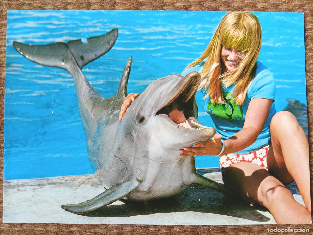 Postales: MARINELAND - COSTA D'EN BLANES - MALLORCA - DELFIN