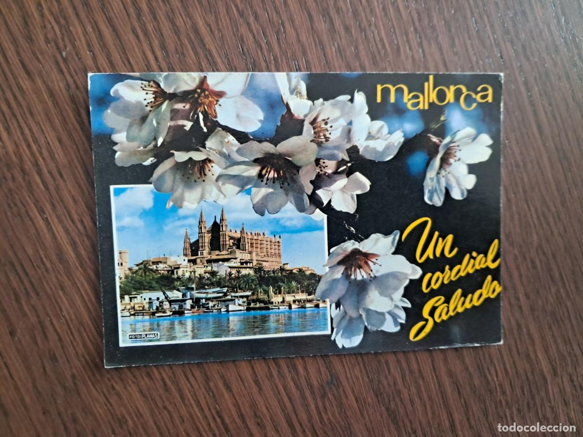 Postales: postal de Espa&ntilde;a, catedral La Seu, Palma de Mallorca, a&ntilde;o 1965.