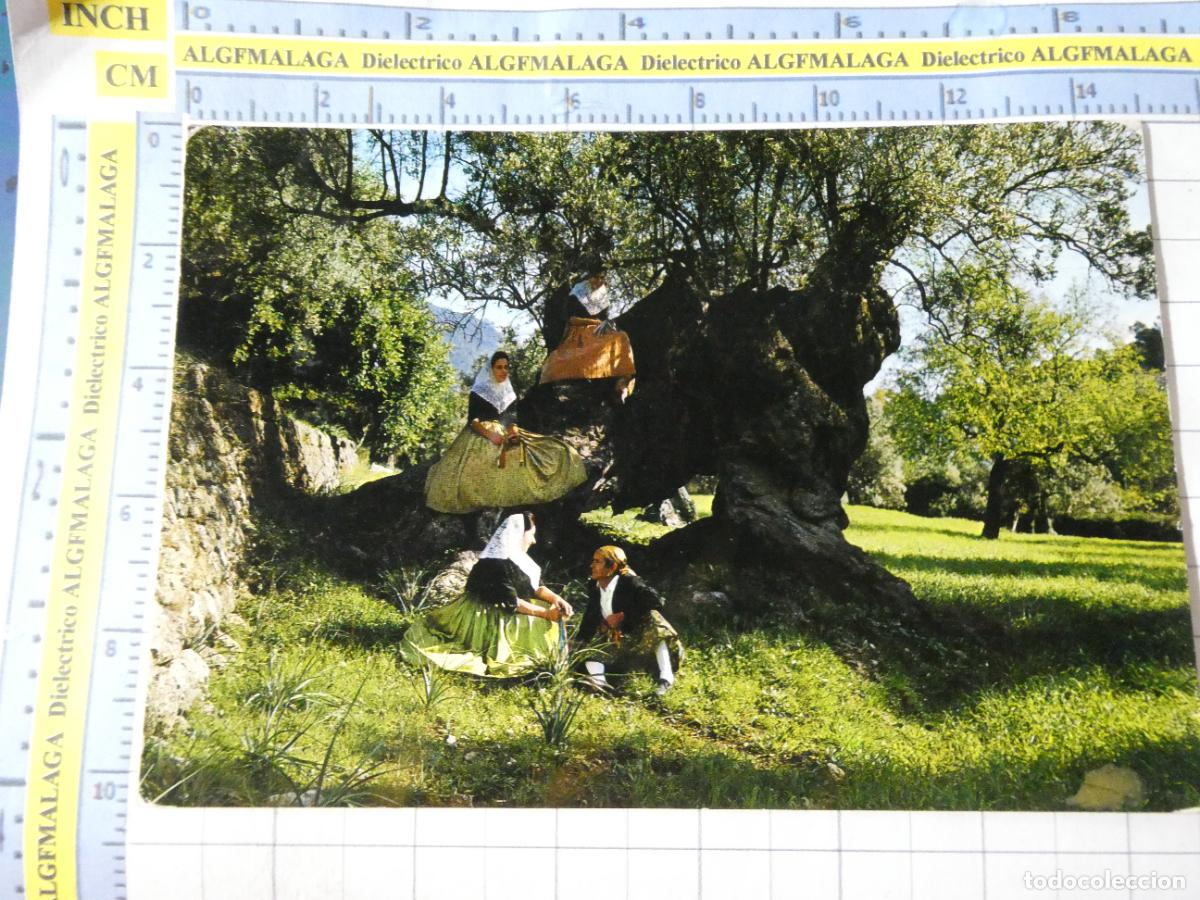 Postales: POSTAL DE MALLORCA. A&Ntilde;O 1973. VALLDEMOSA OLIVO MILENARIO TRAJES T&Iacute;PICOS. 1283 ZERKOWITZ. 2353