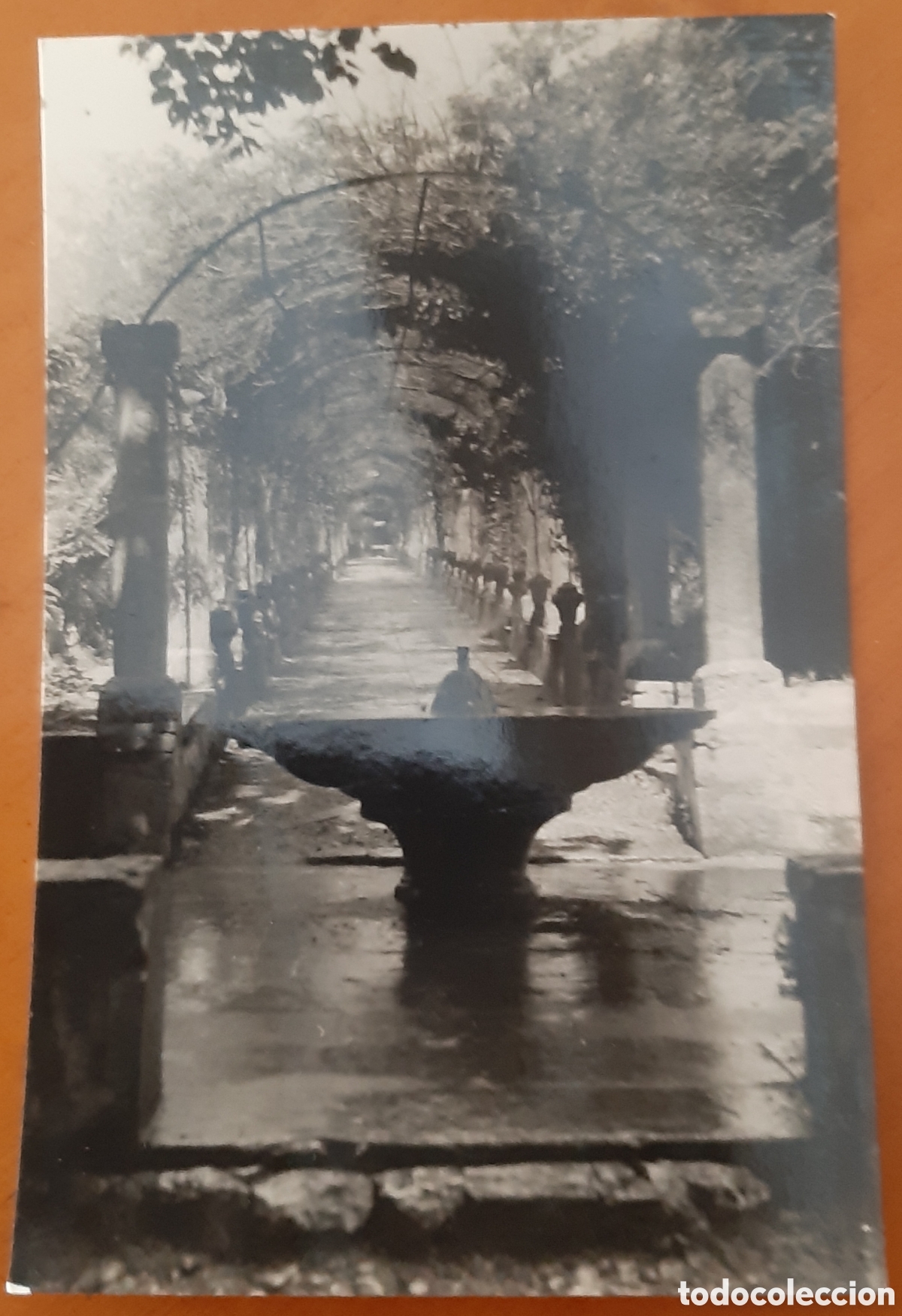 Postales: Postal Mallorca. Jardines de Alfabia. Sin escribir. R10119